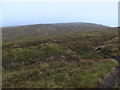 Southern slopes of Meall a' Phuill in PH15 2PU