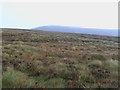 Moorland wilderness east of track in Coire  Beithe in PH15 2PU