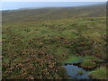 Boggy pool at the foot of Meall a' Phuill's southern slopes in PH15 2PU