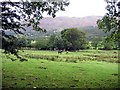 Grazing land at High Hollins farm in CA13 9UX