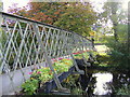 Flowers on the Footbridge at Forres in Forres