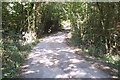 Access road towards Bedgebury Road in TN17 2RB