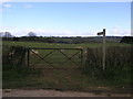 Gate and Sheep in WR15 8JQ