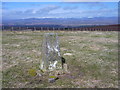 Kincaldrum Hill trig in DD8 1TX