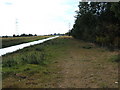 Paddock on the bank of The North Level Main Drain at Tydd Gote in PE13 5RG