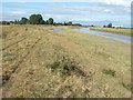 On the banks of The River Nene near Foul Anchor in PE13 5RF