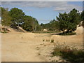 Upton Heath, old sandpit in BH18 9JP