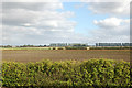 A view east across the fen from Harris Farm in IP28 8EB
