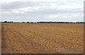 Wide fenland landscape on Poplar Farm (1) in IP28 8DA