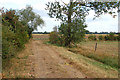 Track leading east from Poplar Farm in IP28 8DA