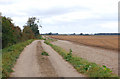 Track north from Poplar Farm in IP28 8DA