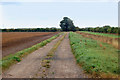 Track southeast of Poplar Farm in IP28 8DA