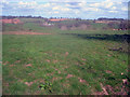Grazing land at Grendon Court in HR7 4SD
