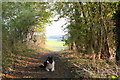 Footpath below Lodge Hill in HP14 4JQ