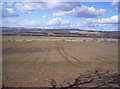 Field With Angus Hills in the Distance in DD9 6SL