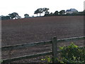Field next to the B3184 near the A30, looking south-west toward Spain Farm in EX5 2BL