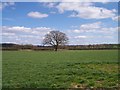 Grassland and Oak, Felton in HR1 3PQ