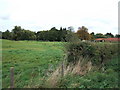 Pasture near Shernborne Hall in PE31 6RZ