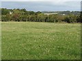 Pasture near Whitehill in TD6 0HG