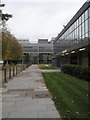 Path within Brunel University in UB8 2AL