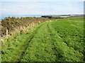 Coast path above Brownsham Cliff in EX39 6DP