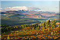 Hillside on Creagan Riabhach above Ballater in AB35 5SB
