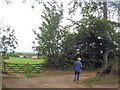 Walking by a farm gateway at Polesden Lacey in KT23 4NA