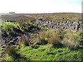 Moorland wall in NE19 1AQ