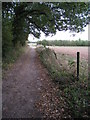 Track to Hodd's Farm in RG24 7AJ