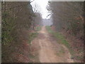 Track through the great wood, Battle in TN33 0TJ