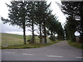 Access road to Mains of Rhynie in AB54 4HX