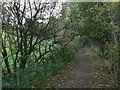 Footpath to Lumsdale Quarry in DE4 5PX