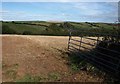 View through a gate, Higher Collaton in TQ7 3SN