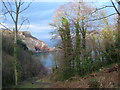 Anstey's Cove from Bishop's Walk in TQ1 3TB