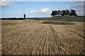 Barley stubble, Cammo in EH4 8FW