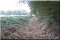 Footpath near Pook Farm in TN27 8JJ