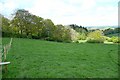 Pasture on the Avon Valley Path in SP6 2ND