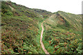 Coastpath near Caerfai (1) in SA62 6BN