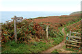 Coastpath signs and gate near St Nons Bay in SA62 6BN
