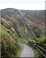 Path down to the beach at Caerfai Bay in SA62 6BN