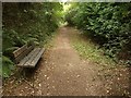 Footpath, Efford Marsh Nature Reserve in PL6 8LH