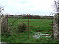 Iron gate leading into a field in Llannerch-y-Medd Community