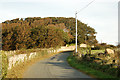 Looking north along the lane from St Nons Bay to St Davids in SA62 6BN