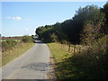 A small lane up to Bridge 1197 in Ellingham and Kirby Cane
