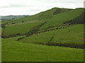 Fields by Bwlch Coch in SY20 8SG