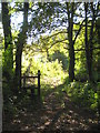 Footpath to Pencoose from Trehane Wood in TR4 9BL