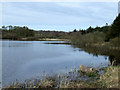 Northern shores of the Cefni Reservoir in LL77 7RZ