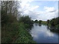 River Trent at Wychnor in DE13 7AP