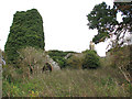 The ruined church of St Felix in PE31 6AW