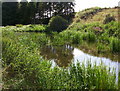Pond below Meadowhead, Ythanwells in AB54 6HF